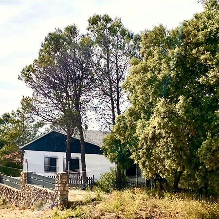 Alcarria , Casa Del Agua Villa Albalate De Zorita Ngoại thất bức ảnh